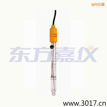 滄州可填充玻璃管電極