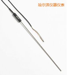 哈爾濱高性能金屬桿標(biāo)準(zhǔn)鉑電阻溫度計