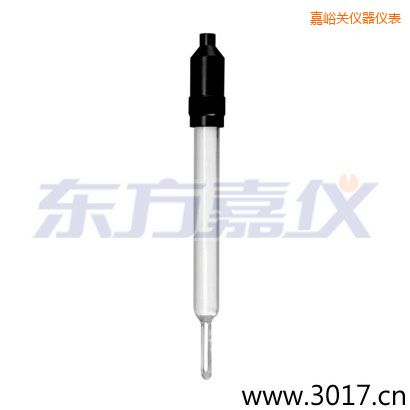 嘉峪關(guān)玻璃外殼無(wú)溫補(bǔ)兩線(xiàn)電導(dǎo)率電極