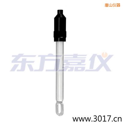 唐山無(wú)溫補(bǔ)兩線(xiàn)電導(dǎo)率電極