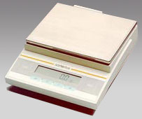 邢臺(tái)電子天平,3100g,0.1g