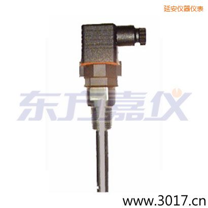 延安含有溫度的兩線電導率電極