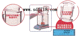 �Ͳ����M����ƽ,2100g,0.1g