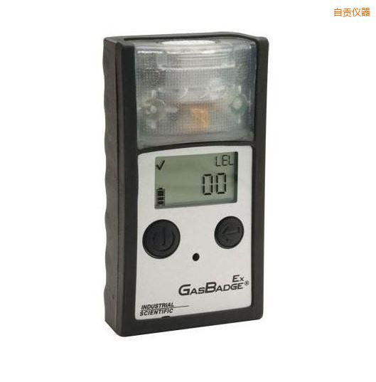 自貢單一可燃?xì)怏w檢測儀